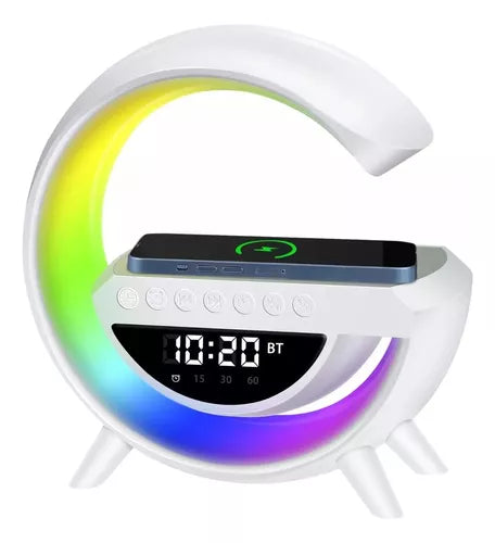 Cargador Inteligente Gsmart®